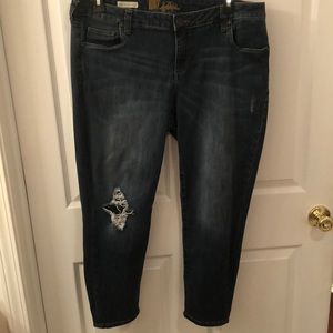 Kut from the Kloth plus size ankle jeans